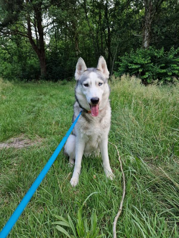 Luna