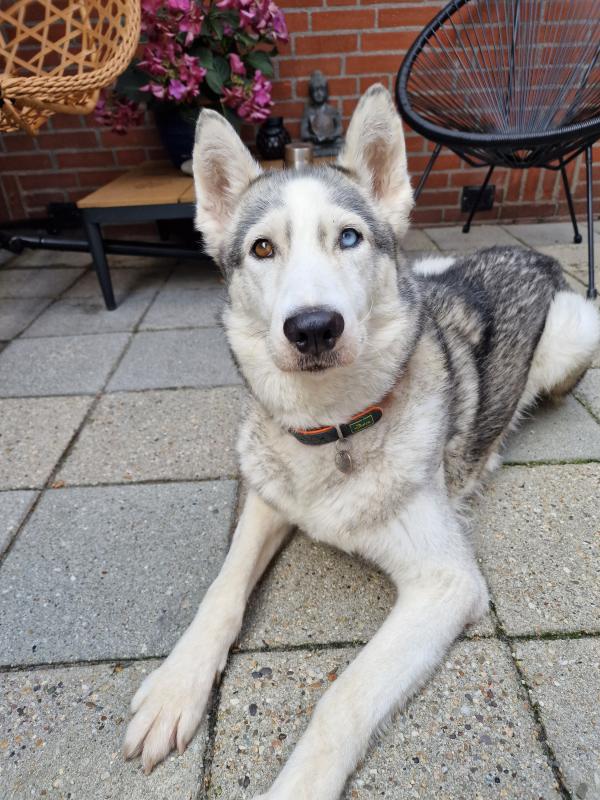 Luna