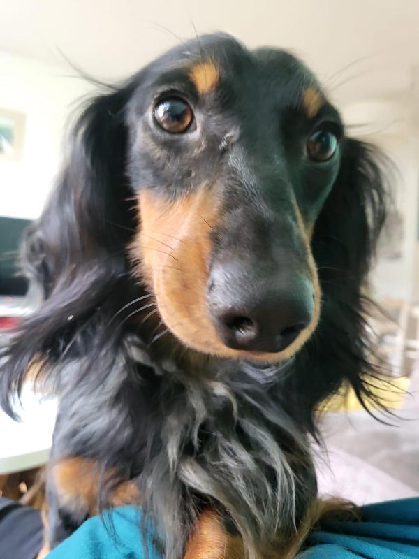 Charlie