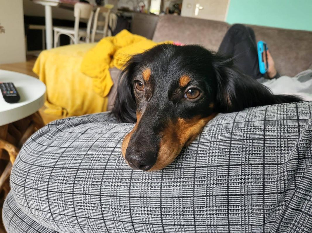 Charlie