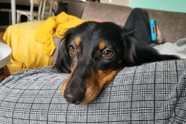 Charlie
