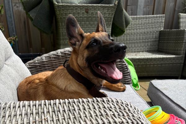 Zira