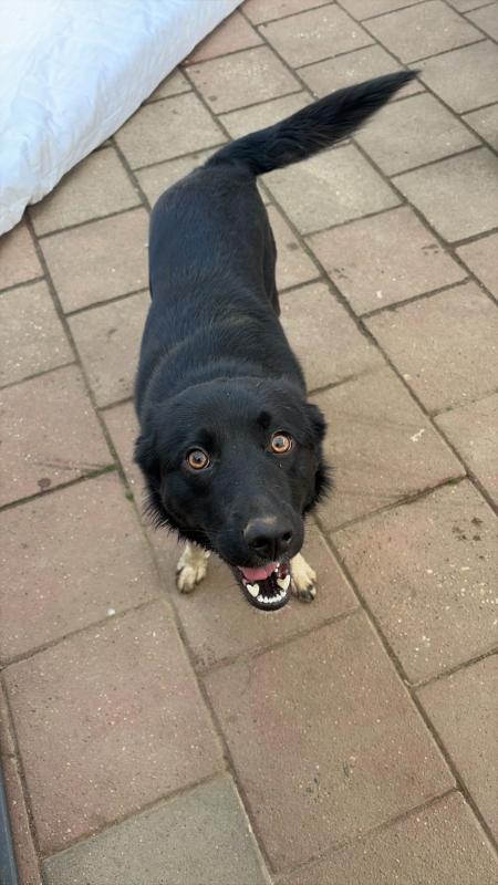 Teun