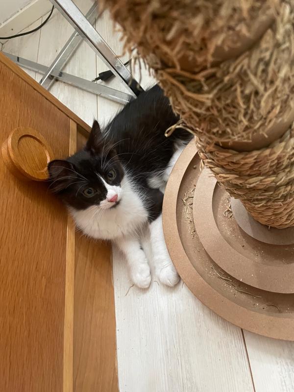 Jack