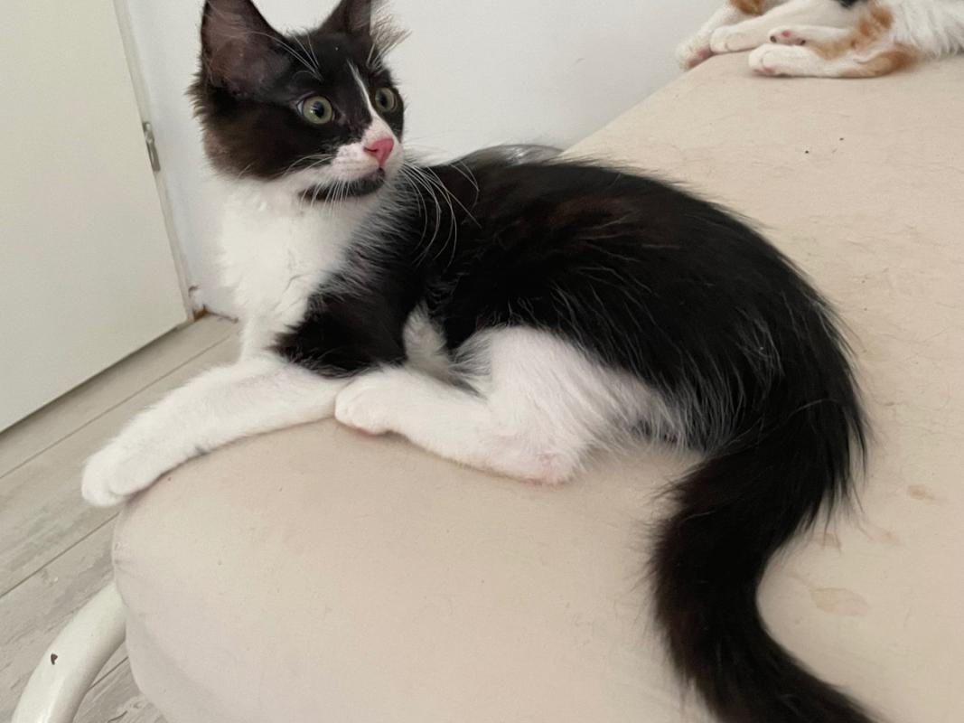 Jack