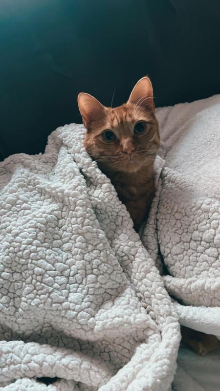 Milo