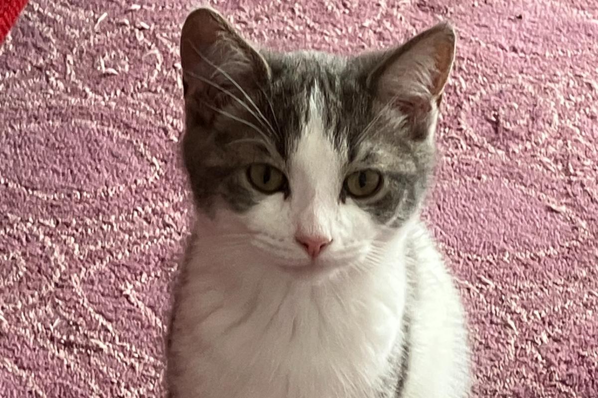 *SPOED* Luca