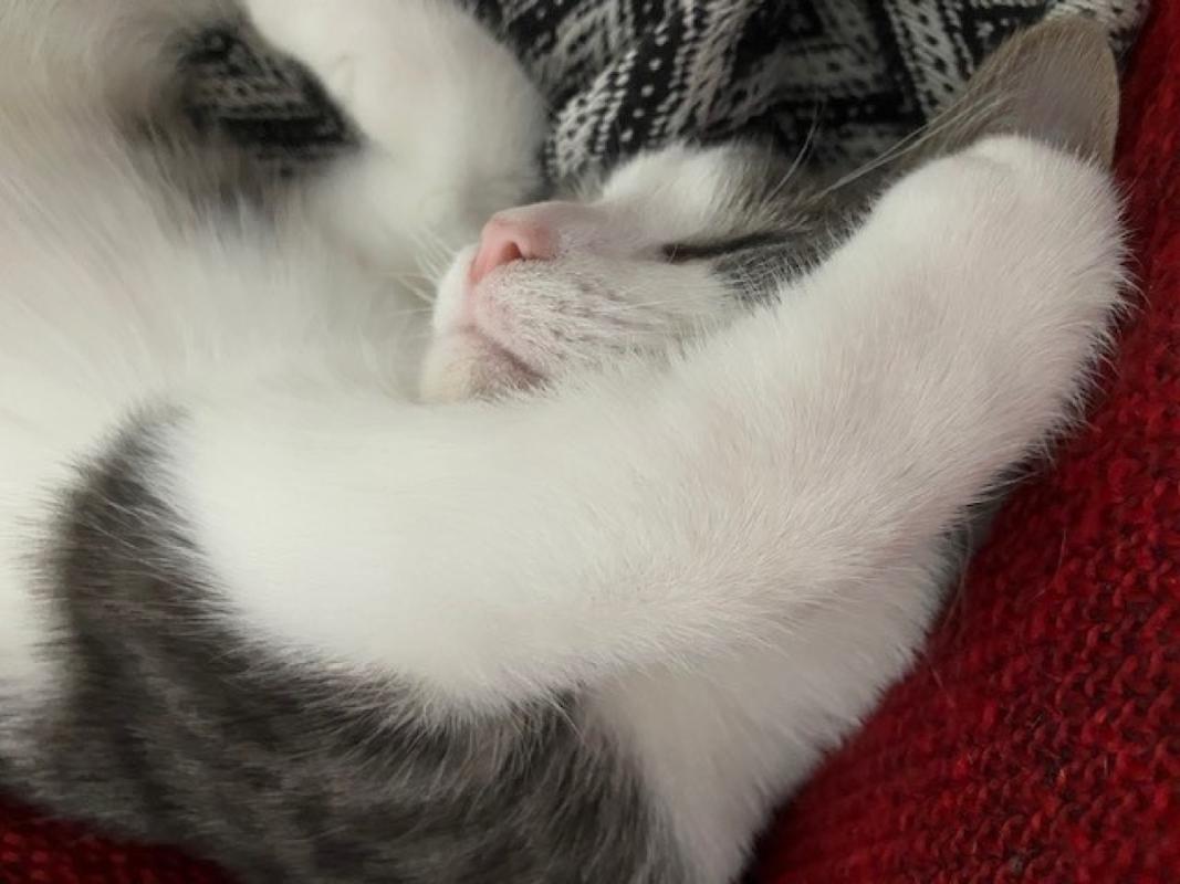 *SPOED* Luca