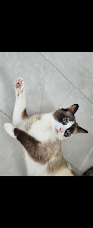 Lucy
