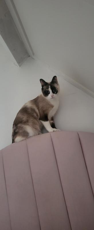 Lucy