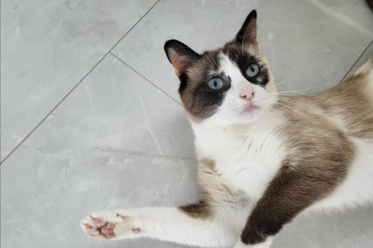 Lucy