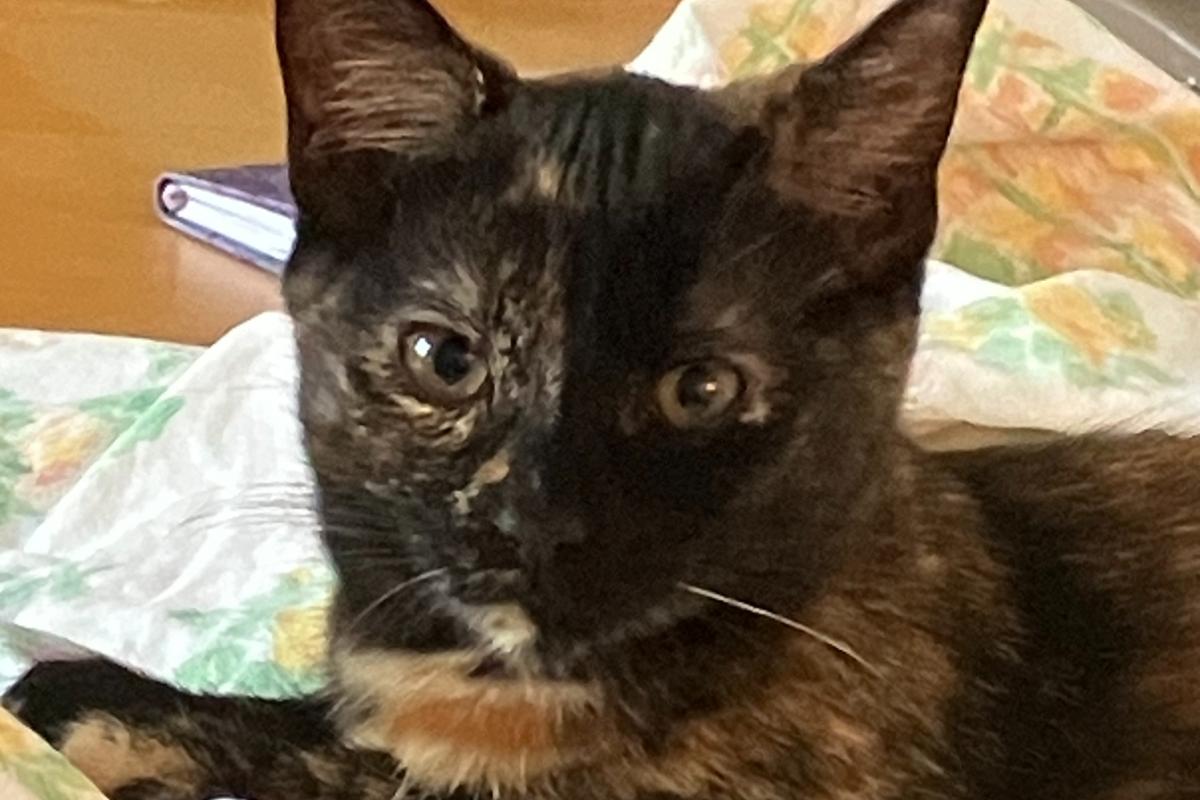 Luna