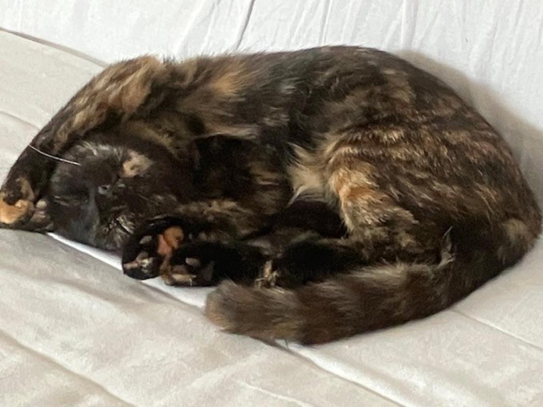 *SPOED* Luna