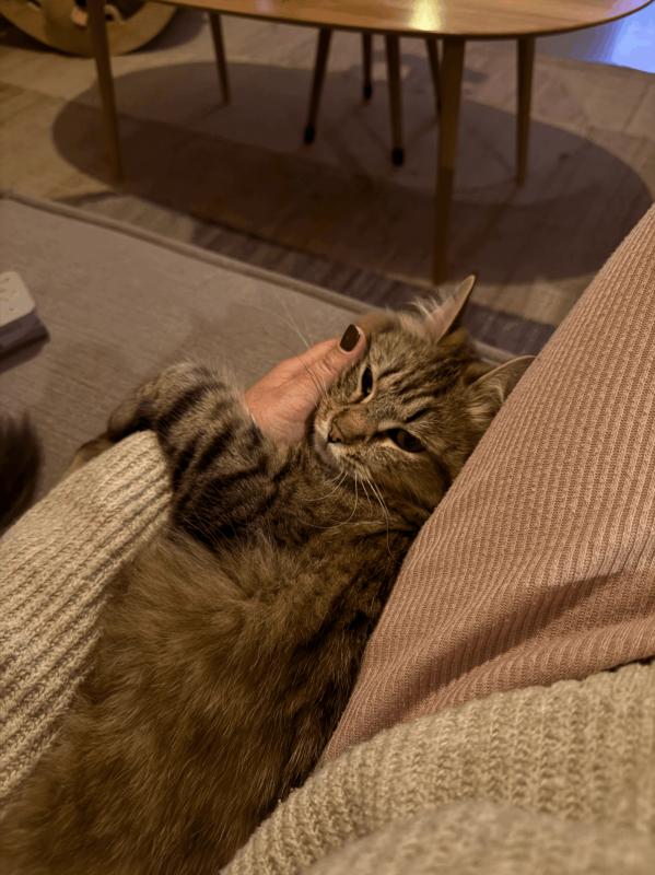 Bella