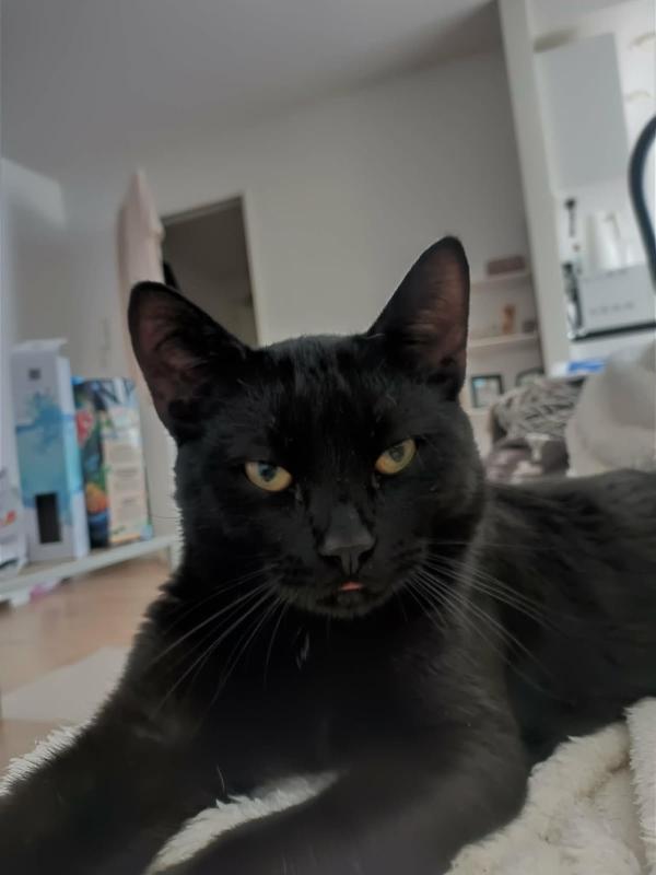 Louie