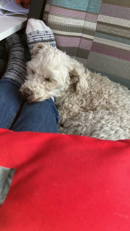 Max