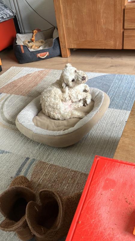 Max