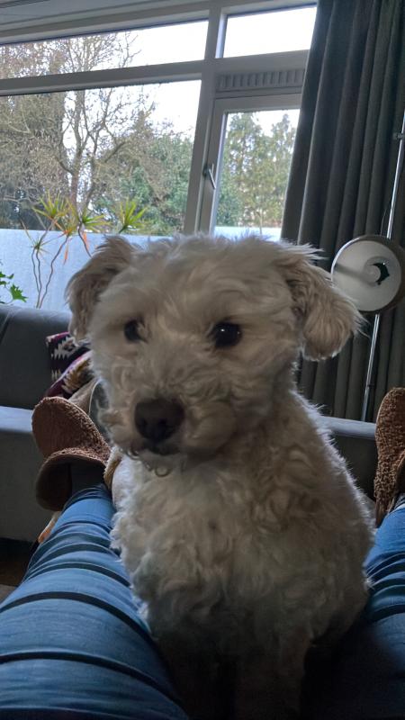 Max