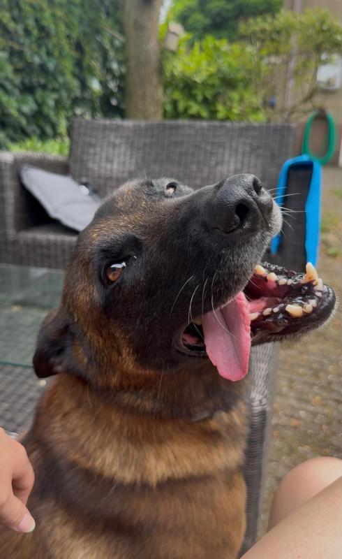 Max