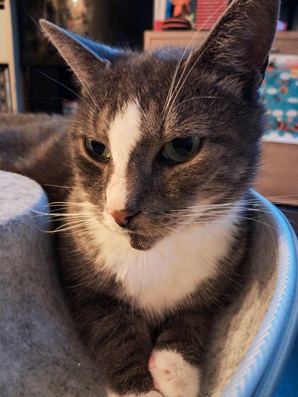 Rocky