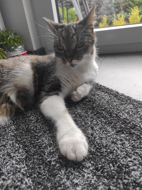 Mirabella