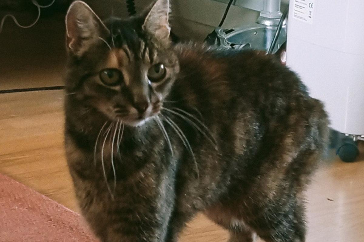 Luna