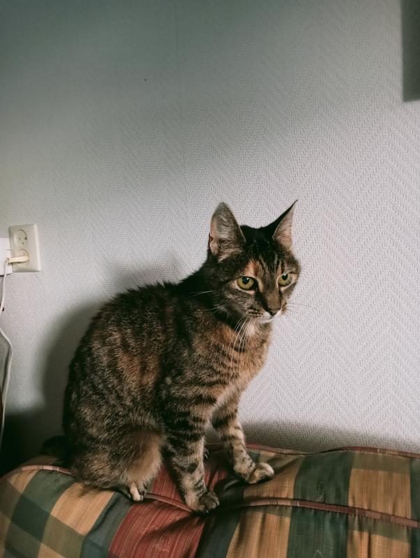 Luna