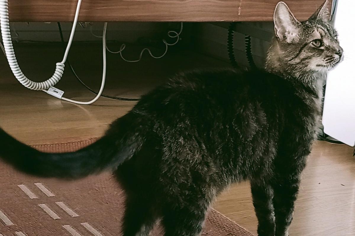 Luna