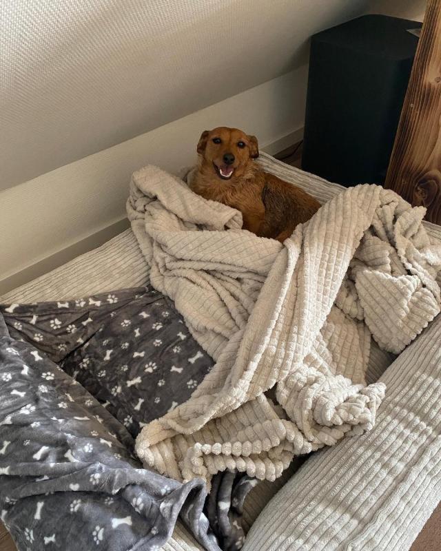 Bonnie