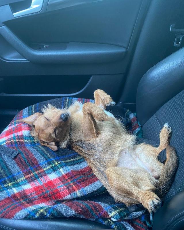 Bonnie