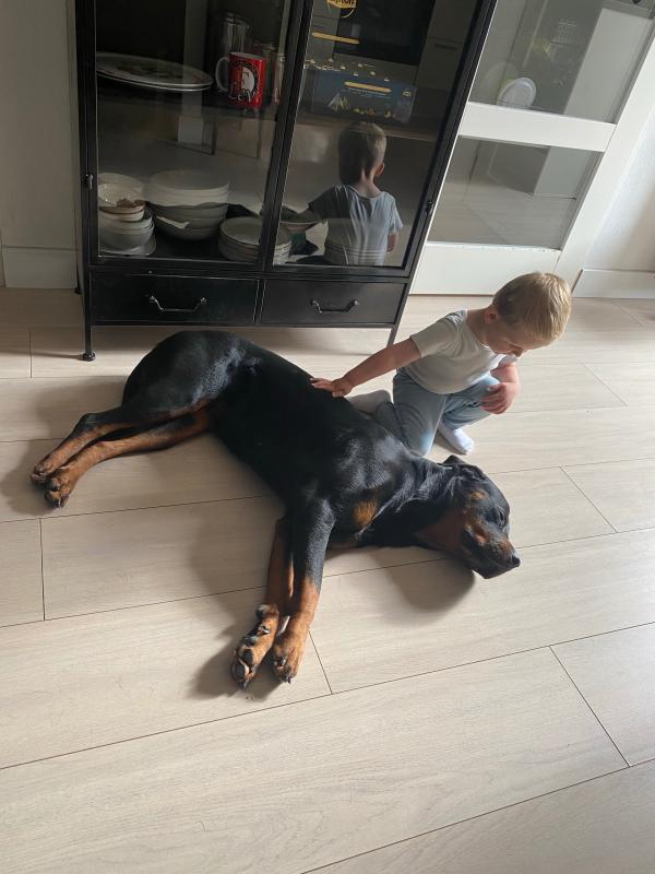 Ella