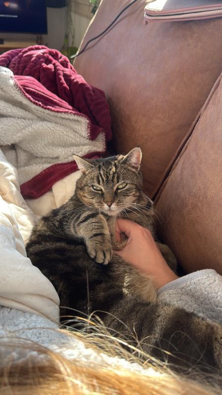 Sissi