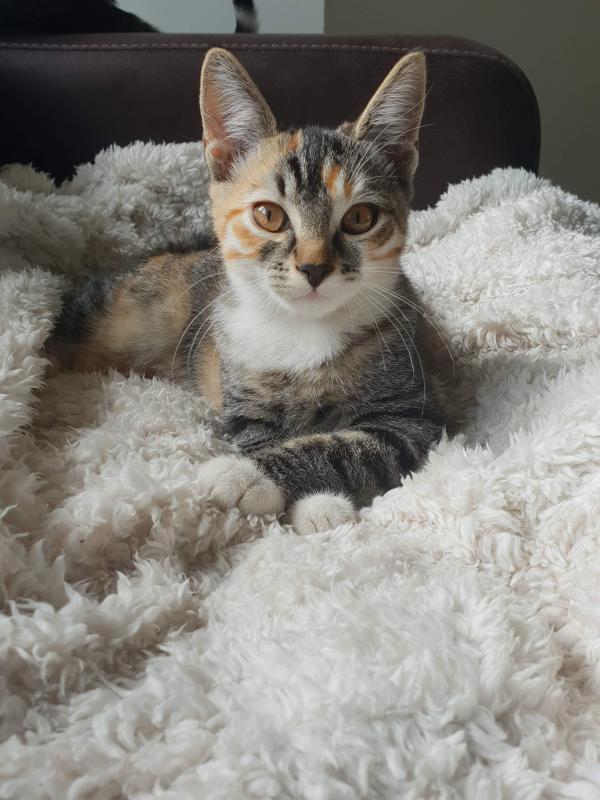 Kiara