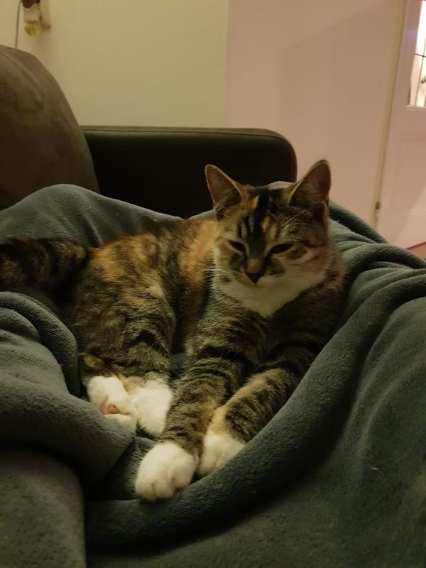 Kiara