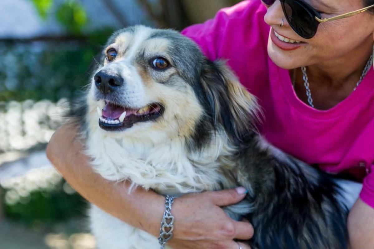 Toto