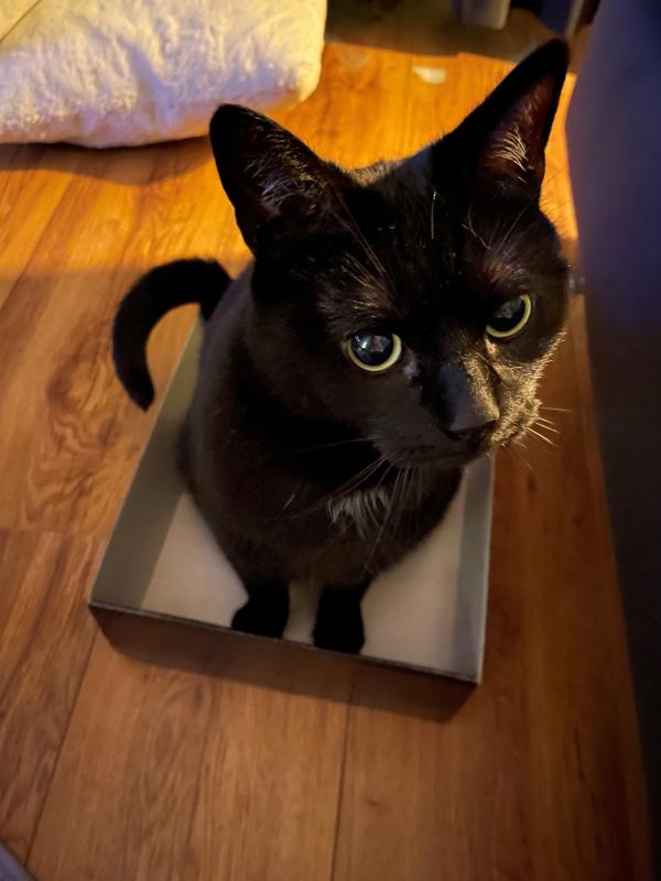 Luna