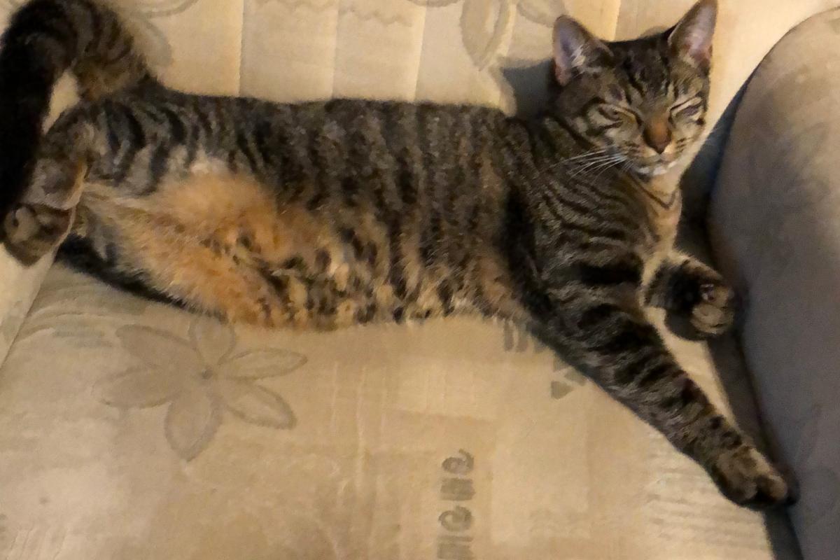Billy