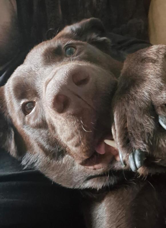 Otis