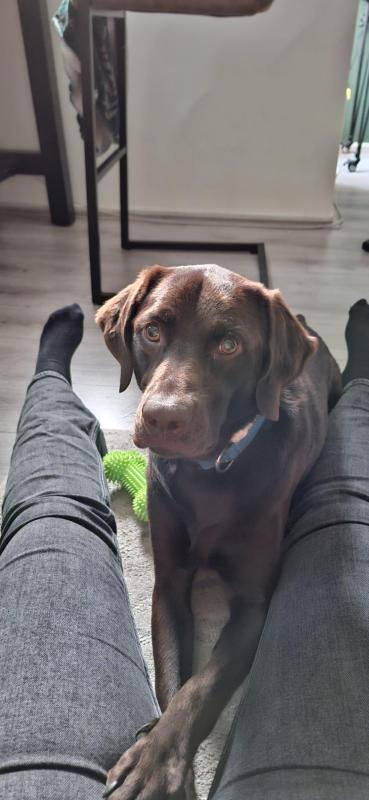 Otis