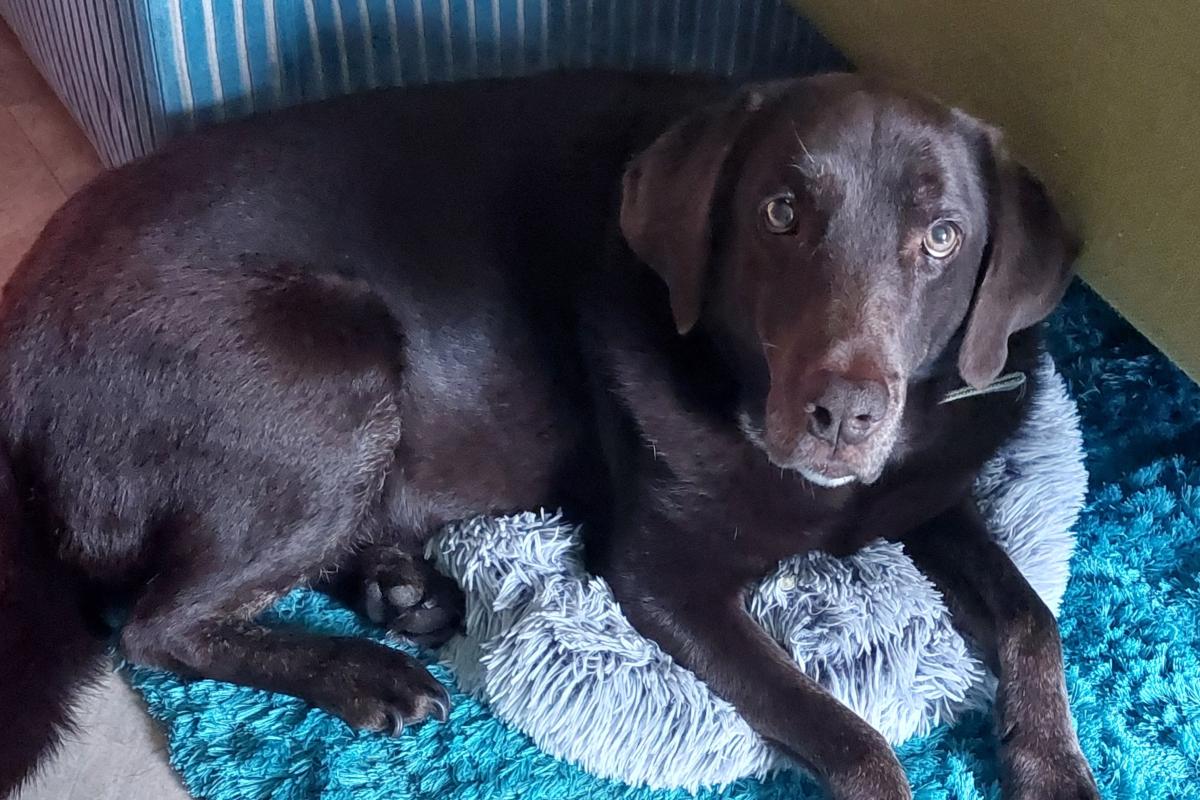 Coco