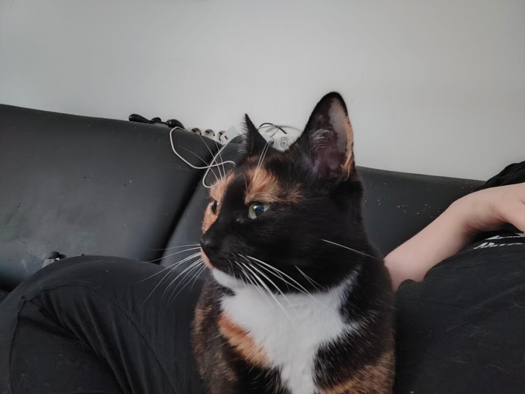 Sid