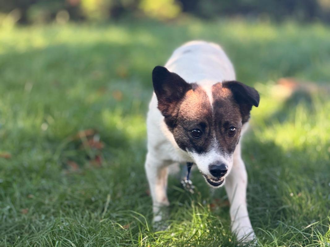 Bella
