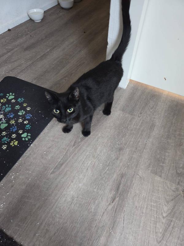 Minnie