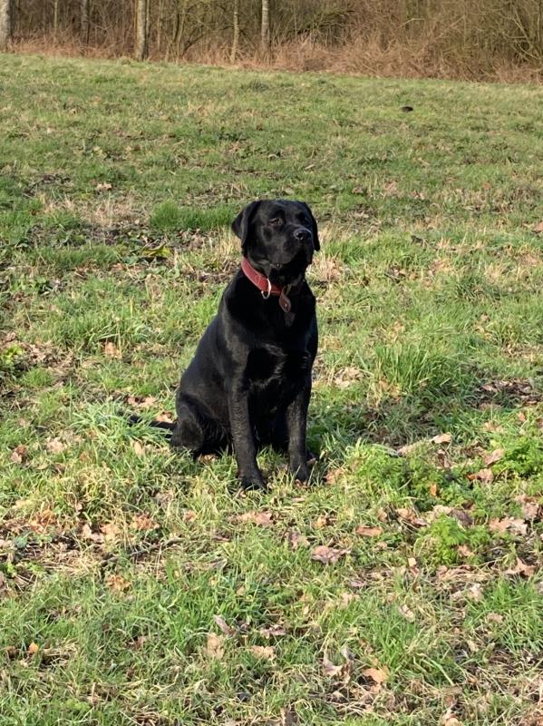 Cooper
