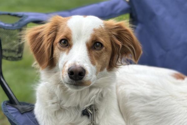 Sammy