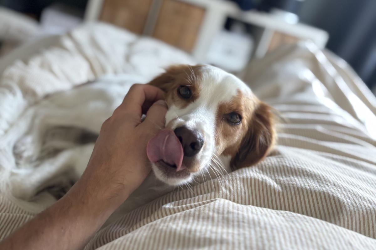 Sammy