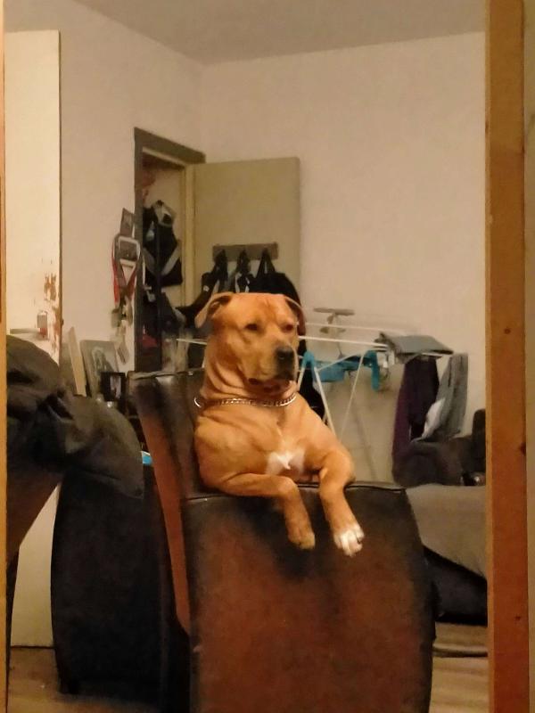 Pablo