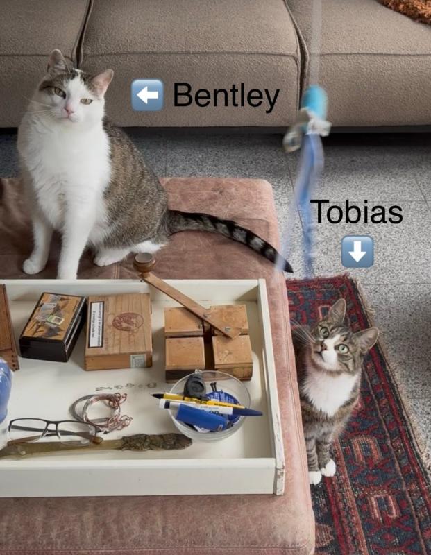 Tobias