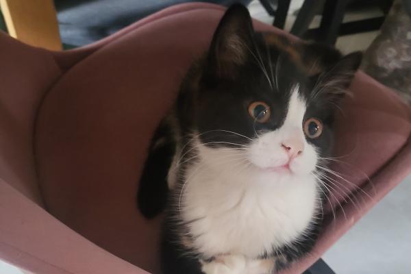 Luna