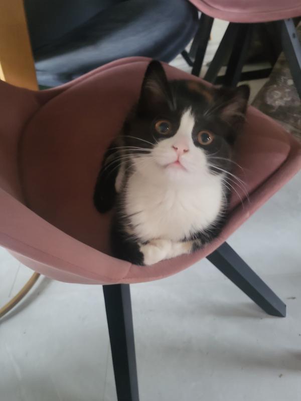 Luna